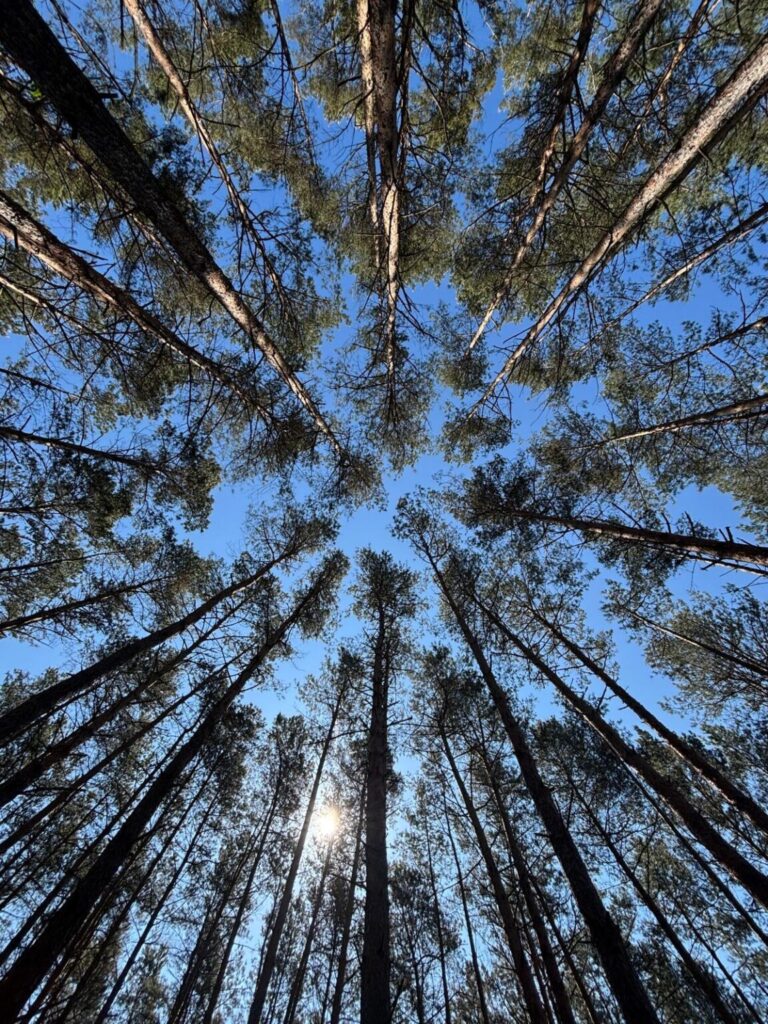 „Kontakt z naturą a dobrostan psychiczny studentów krakowskich uczelni” – raport z badania „Kontakt z naturą a dobrostan psychiczny studentów krakowskich uczelni” – raport z badania